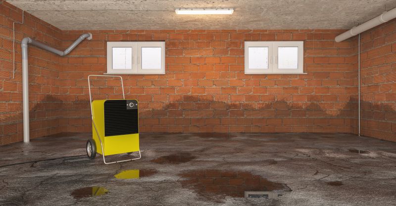 Basement Dehumidifier Service in Annapolis, MD