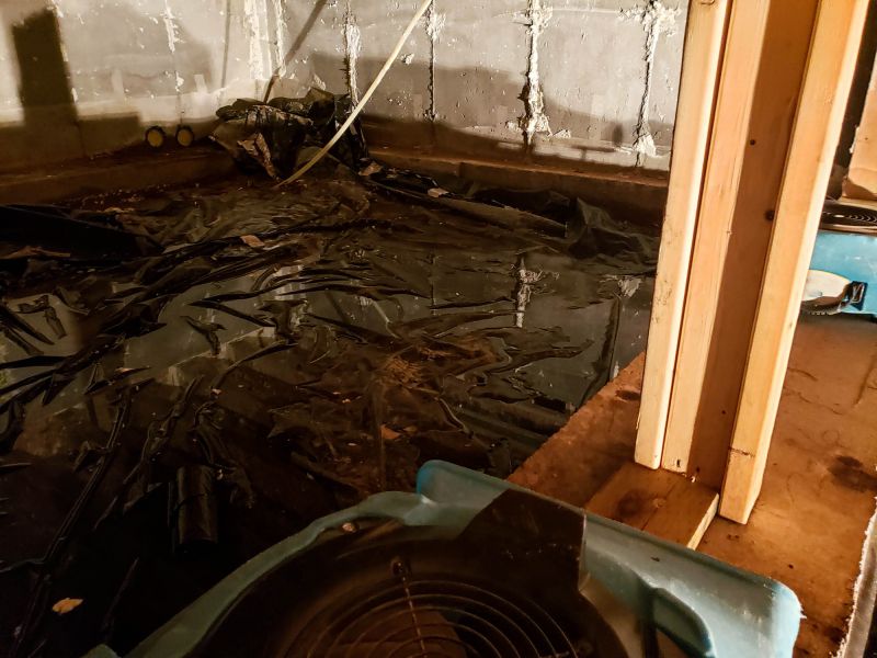 Basement Dehumidifier Service in Cincinnati, OH